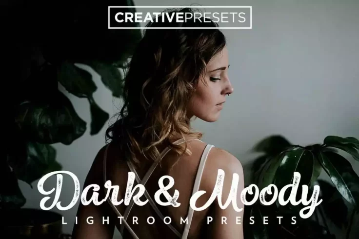View Information about Dark and Moody Lightroom Mobile Presets